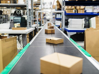 Cartons & Case Packing
